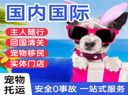 栎社航空快递国际宠物托运 【国